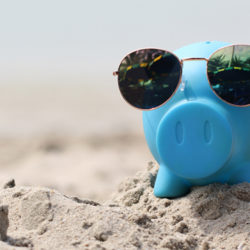 Toy Pig with Glasses